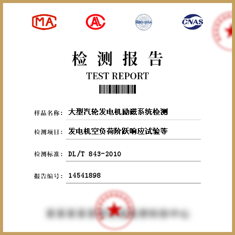 大型汽輪發(fā)電機(jī)勵磁系統(tǒng)檢測